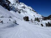 Leichte Piste am Grünseelift