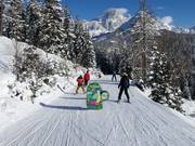 filZOO Abenteuerstrecke