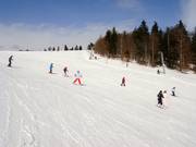 Leichte Abfahrt am Almwiesenlift