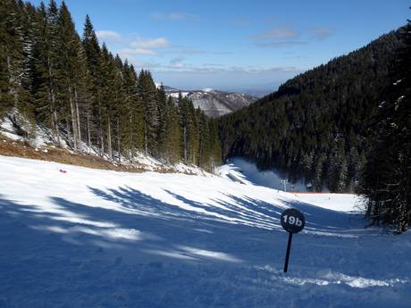 Skigebiete für Könner und Freeriding Dinarisches Gebirge – Könner, Freerider Kopaonik