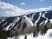 Blick auf die Abfahrt Birds of Prey