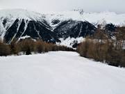 Piste Brand–Talstation Rinerhorn Nr. 10