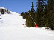 Umfassende Beschneiung