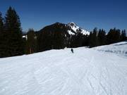 Leichte Piste Melchboden