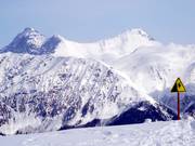 Freeriden kann gefährlich sein - Hinweise beachten!