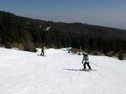 Leichte Piste am Tellerlift Pomagalski