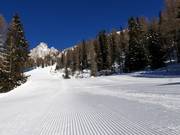 Perfekte Piste in San Martino di Castrozza