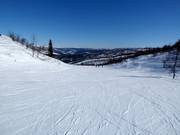 Piste Eiva Nr. 52 (Vestlia)