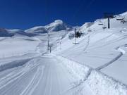 Feechatz - Schlepplift mit T-Bügel/Anker