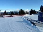 Kostenfreies Förderband in Fiorentini