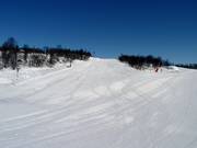 Übungspiste Tussebakken