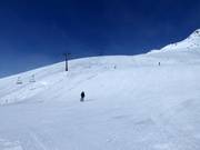 Breite Piste Nr. 3 Wilder Mann