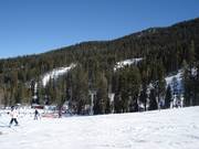 Blick auf die Pisten im Skigebiet Sierra at Tahoe