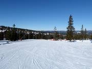 Leichte Piste Nr. 43