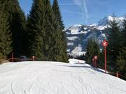 Talabfahrt vom Walmendingerhorn