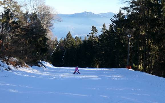 Familienskigebiete Oberer Bayerischer Wald – Familien und Kinder Hohenbogen – Neukirchen bei Hl. Blut