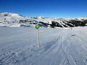 Leichte Pisten im Skigebiet Sunshine Village