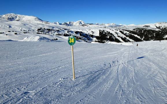 Skigebiete für Anfänger in der Massive Range – Anfänger Banff Sunshine