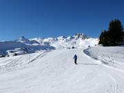 Abfahrt zwischen Leist und Panüöl