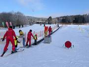 Fox park pás F1 - Förderband/Zauberteppich