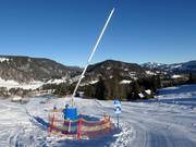 Lanzenbeschneiung am Wannenköpflelift