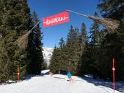 Tipp für die Kleinen  - Erlebnispiste HäxäWäldli