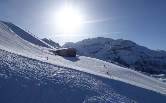 Pistenangebot Engstligental – Pistenangebot Adelboden/Lenk – Chuenisbärgli/Silleren/Hahnenmoos/Metsch