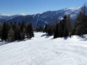 Familienabfahrt Moserkopf