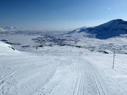 Leichte Piste BH-löpan/Mössan