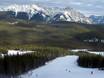 Canadian Prairies: Umweltfreundlichkeit der Skigebiete – Umweltfreundlichkeit Nakiska
