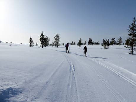 Langlauf Mittelschweden – Langlauf Idre Himmelfjäll