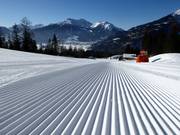 Frisch präparierte Gamskarabfahrt