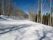 Verbindung nach Bachelor Gulch