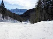 Leichte Abfahrt Rehkogel