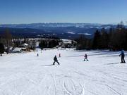 Leichte Pisten am Zirbenlift 2