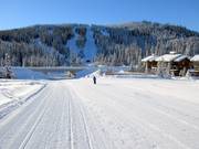 Leichte Piste Mt. Morrisey Connector