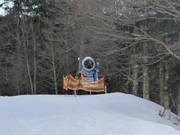 Beschneiung an der Donauwellenabfahrt