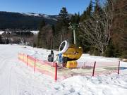 Umfassende Beschneiung