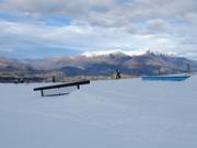 Rail Garden Coronet Peak