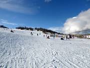 Leichte Piste Woodrun