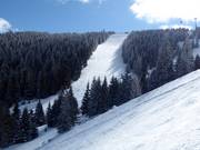 Schwere Piste Nr. 19c Gvozdac