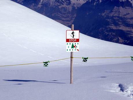 Berner Oberland: Umweltfreundlichkeit der Skigebiete – Umweltfreundlichkeit Kleine Scheidegg/Männlichen – Grindelwald/Wengen