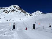 Speedstrecke auf der Fiescheralp mit Fotofunktion