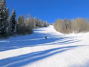 Mittelschwere Abfahrt Cruiser