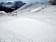 Perfekt präparierte Piste am Col Rodella