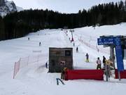 Anfängerwiese Holzstube