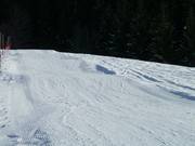 Wellenbahn am Zachhofbabylift