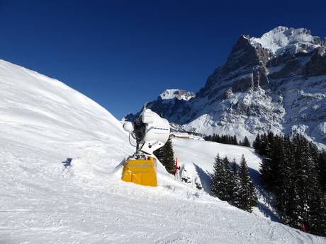 Schneesicherheit Espace Mittelland – Schneesicherheit First – Grindelwald