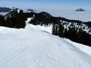 Leichte Weiherkopfabfahrt