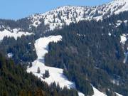 Blick auf die Kreuzleabfahrt am Riedberger Horn